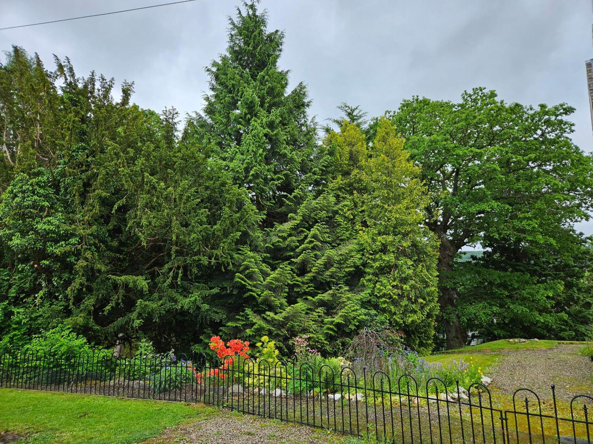Сasa de vacaciones Cosy Peaceful One-bedroom In Pitlochry